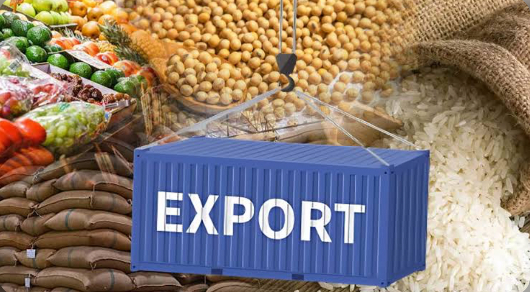 India Maintains Ban on Food Export Despite Record Wheat Output