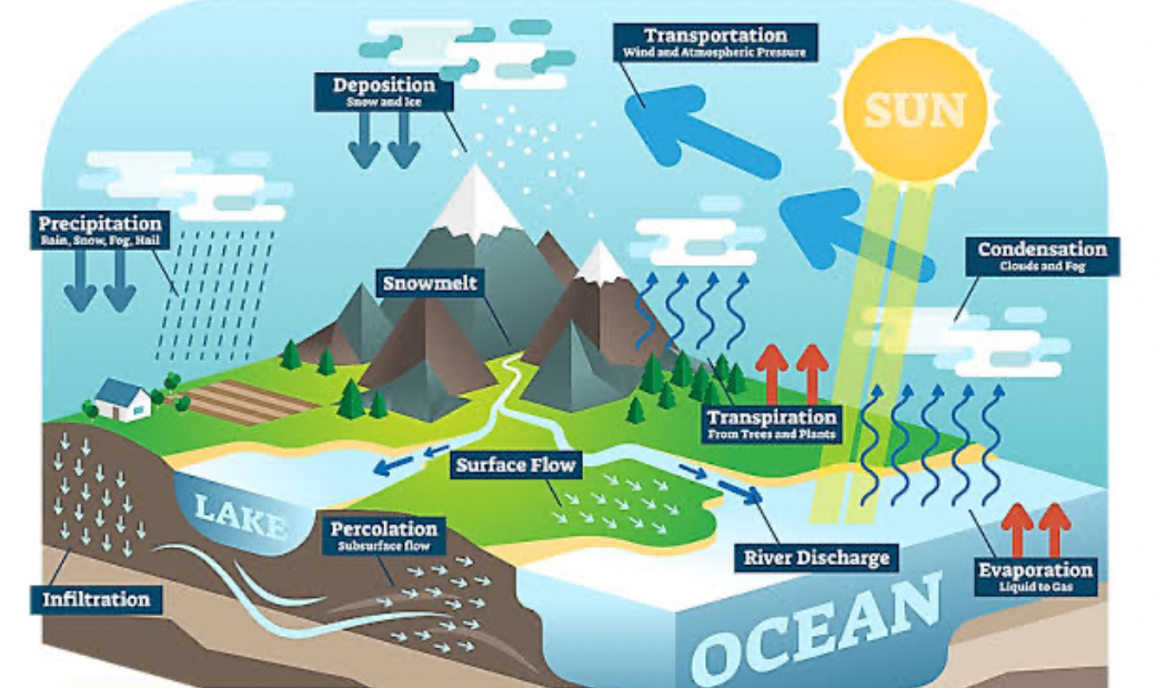 Photo Dynamics of the Monsoon: