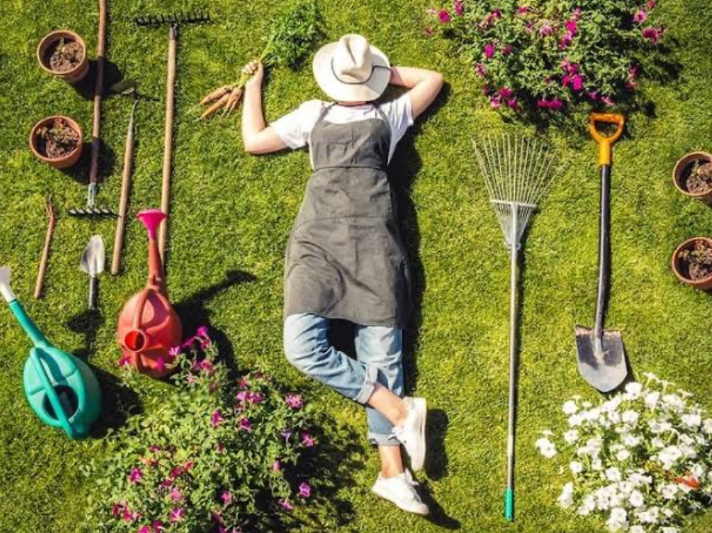 Gardening: A Healthy Hobby with Surprising Benefits!