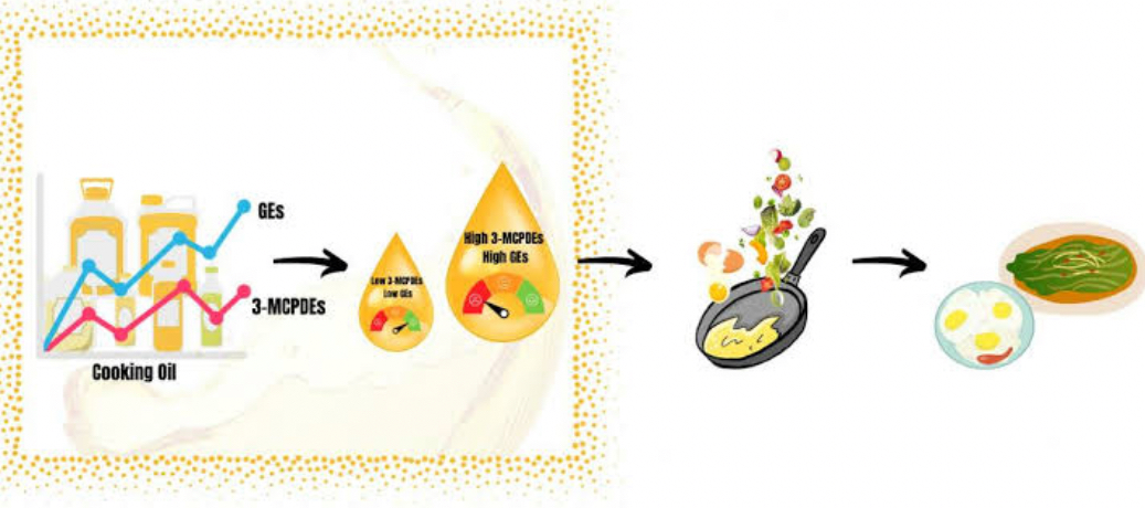 ICMR Urges Limits on Sugar and Cooking Oil Safety for Kidney Health