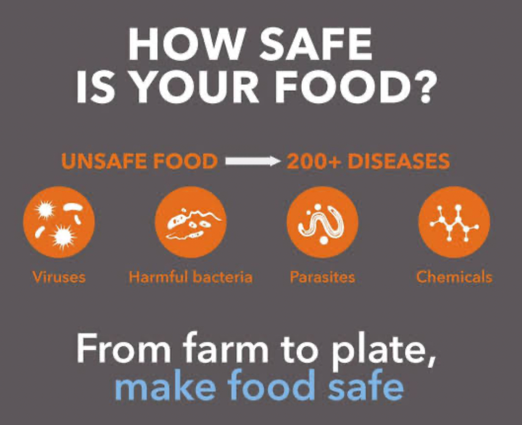 food saftey 