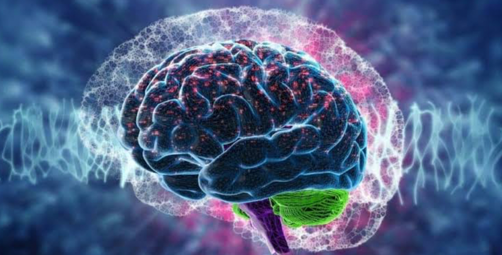 Study Reveals How Oxygen Deprivation Impacts Memory Formation in the Brain