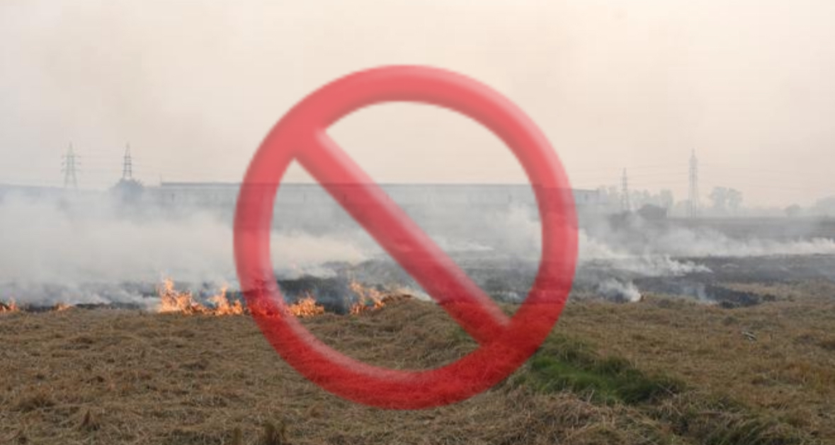 SC orders an immediate halt to crop residue burning in Punjab, Haryana, U.P., and Rajasthan