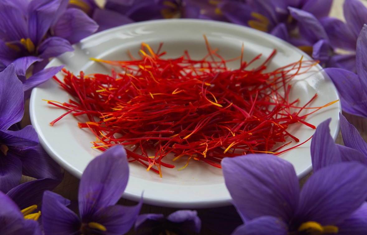 Kashmir: Boom saffron crop after decade, farmers happy