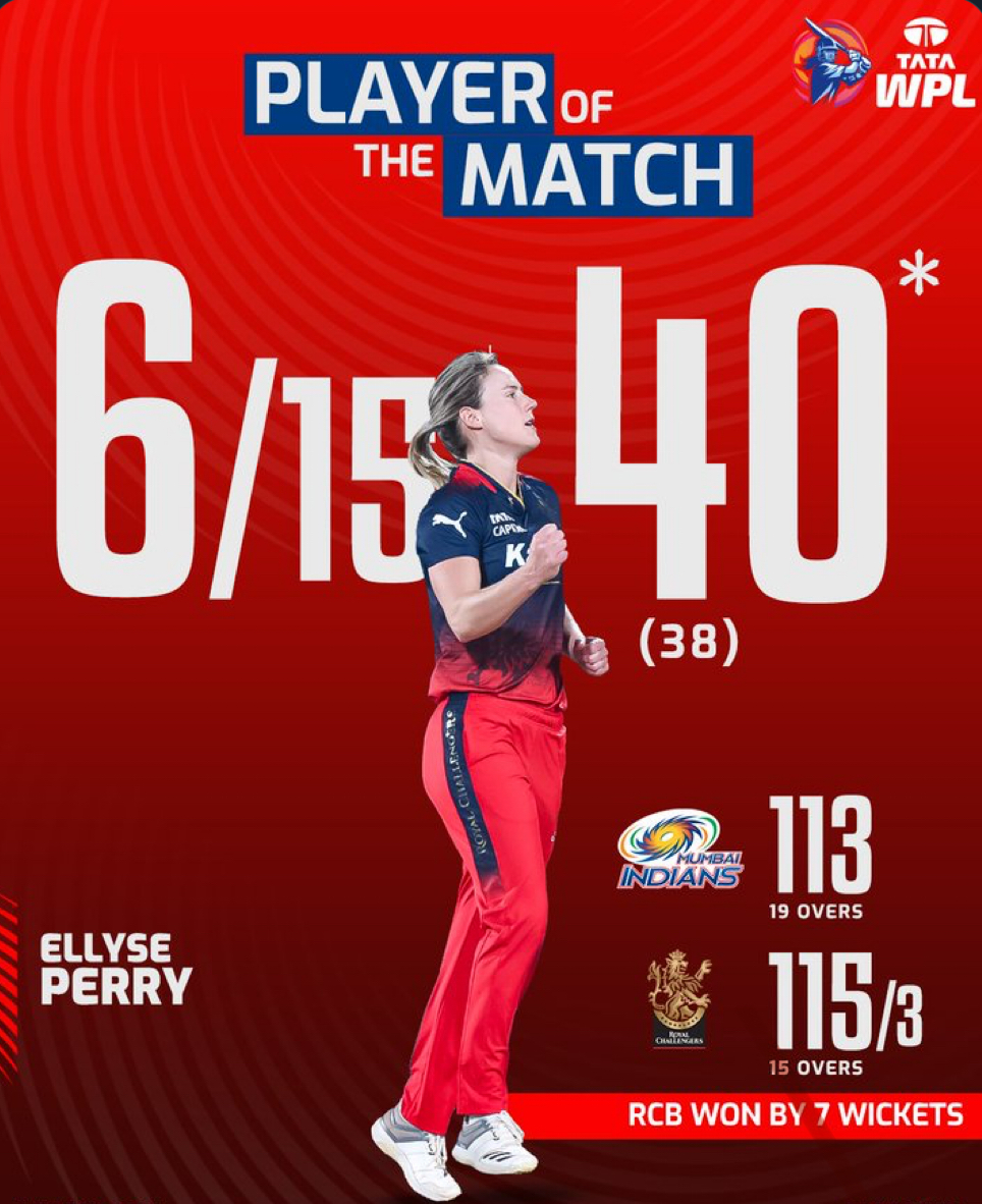 Ellyse Perry's Performance 