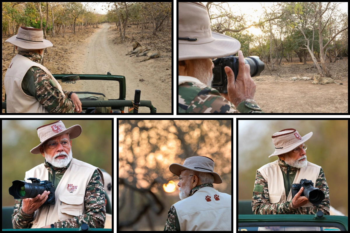 PM Modi's lion safari at Gir on world wildlife day