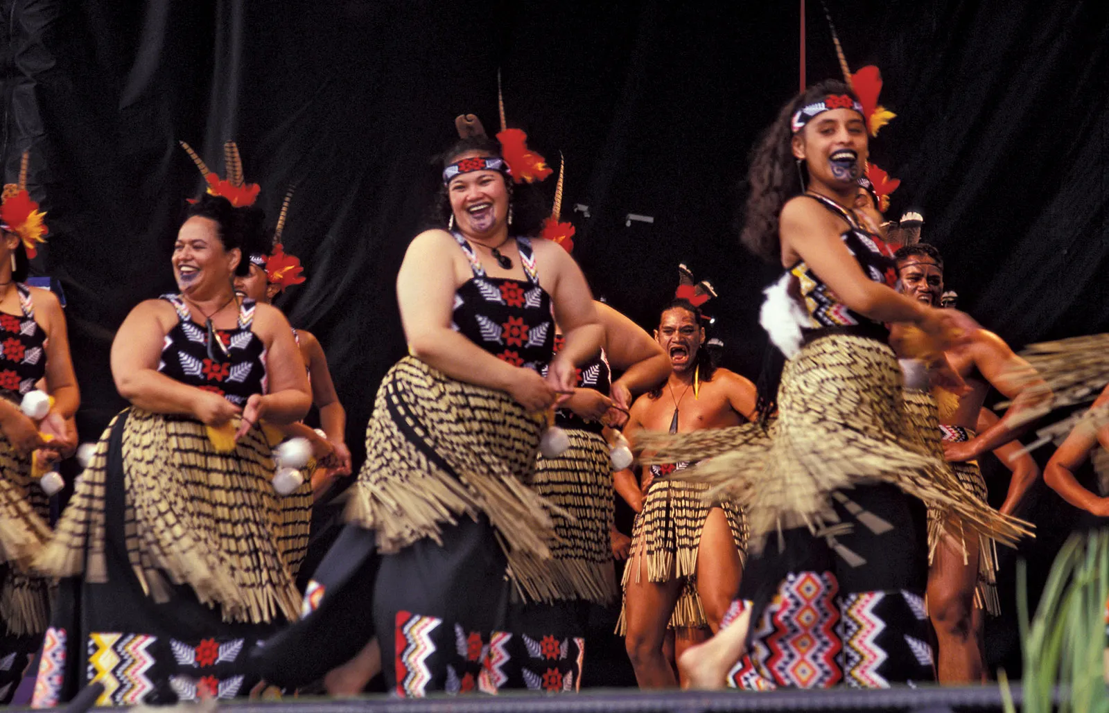  Haka Dance