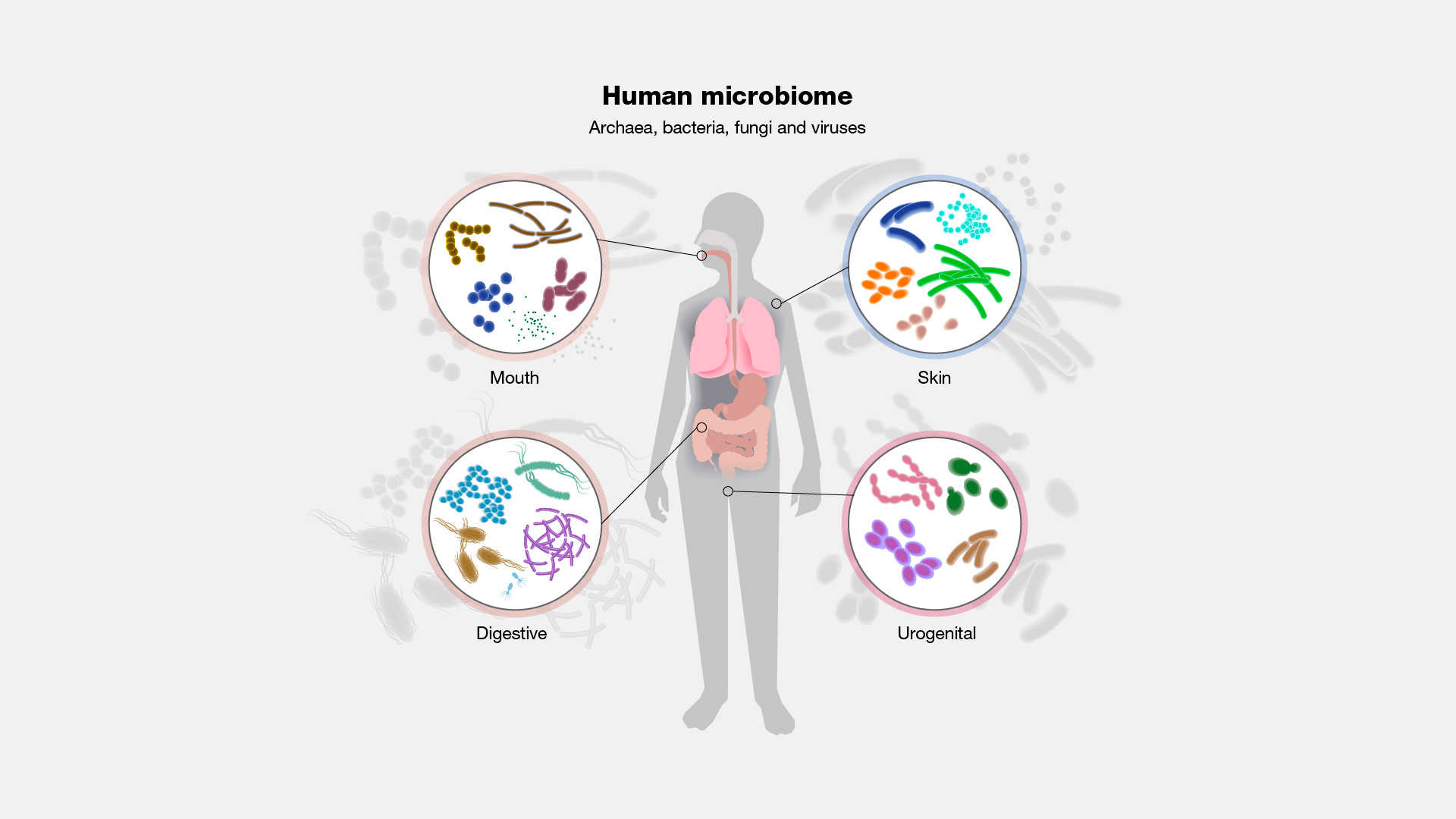 Types of Microbiome: