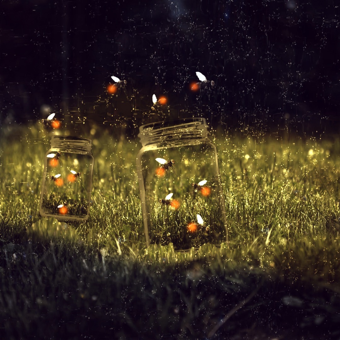 Photo: Fire flies