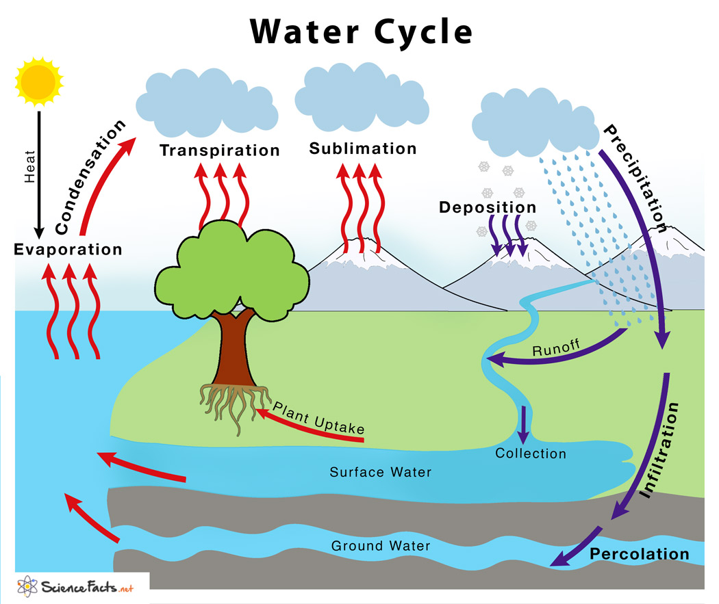 earth's water cycle theory