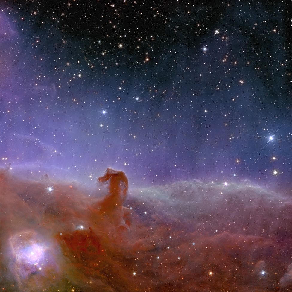 pic: horsehead nebula