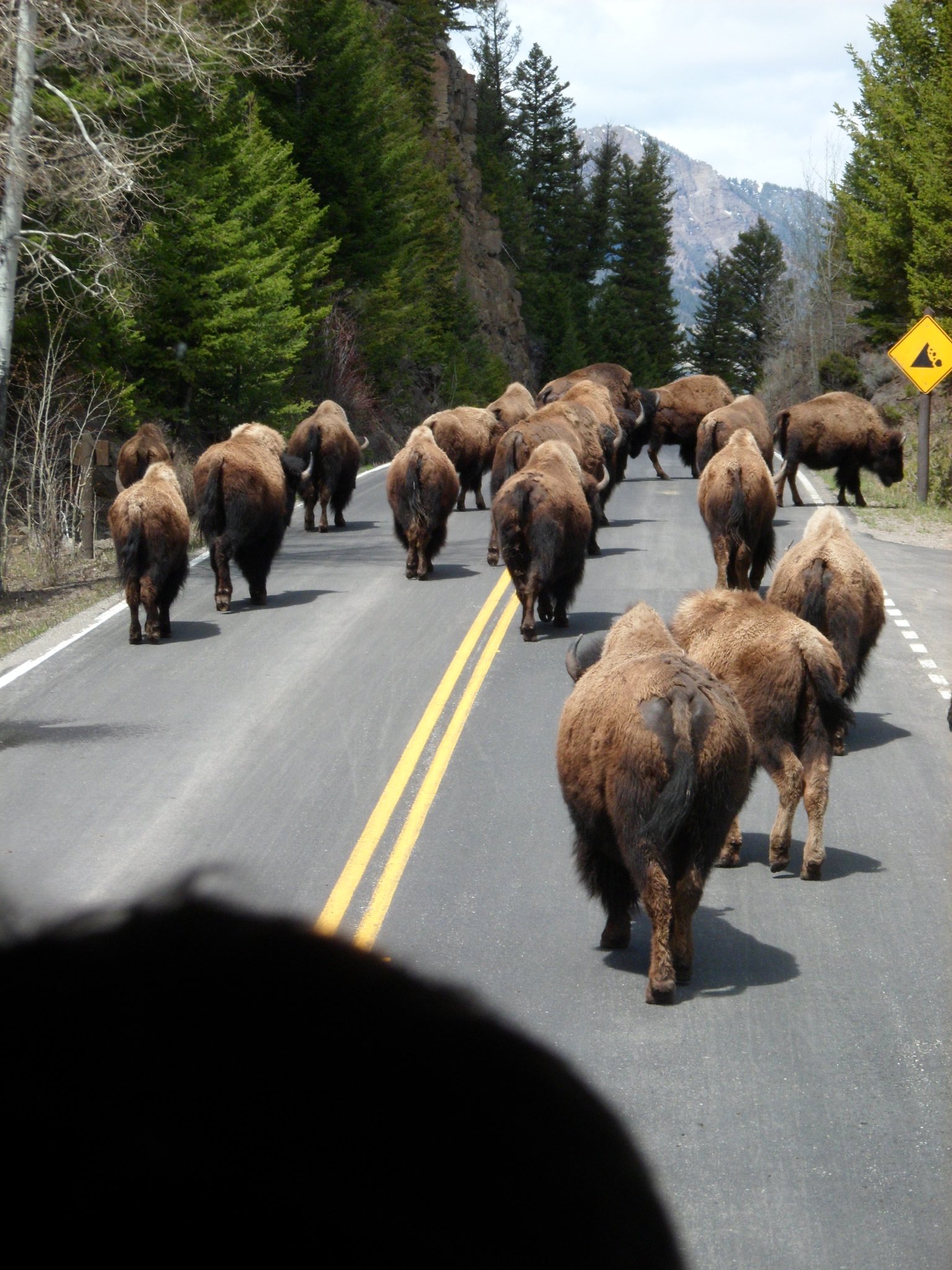 American National Parks