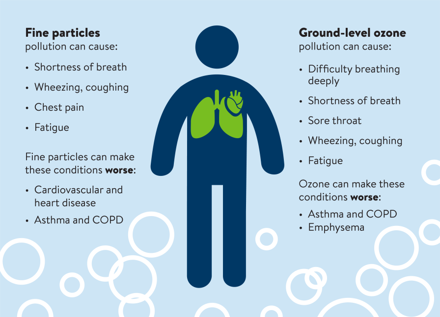 pollution effects on body