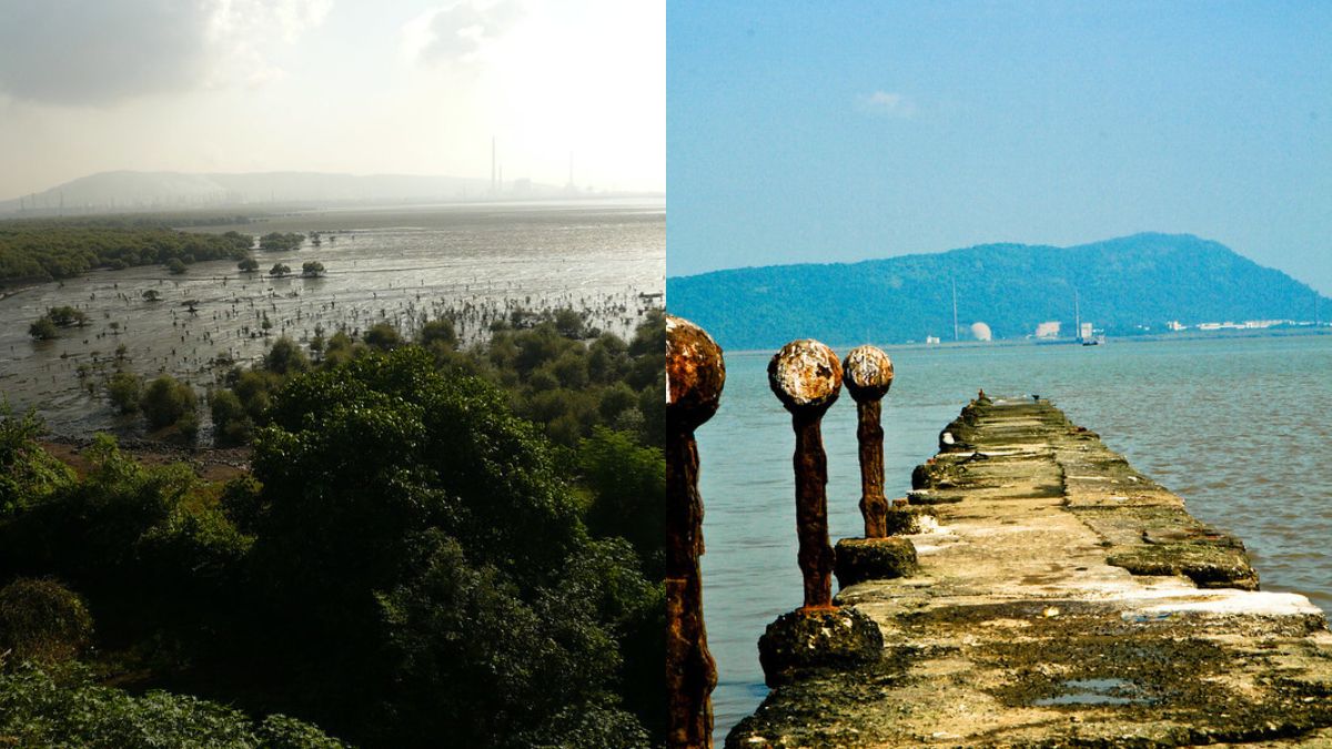 Photo: BMC To Convert Mumbai's Trombay Jetty Into Ecotourism Hub