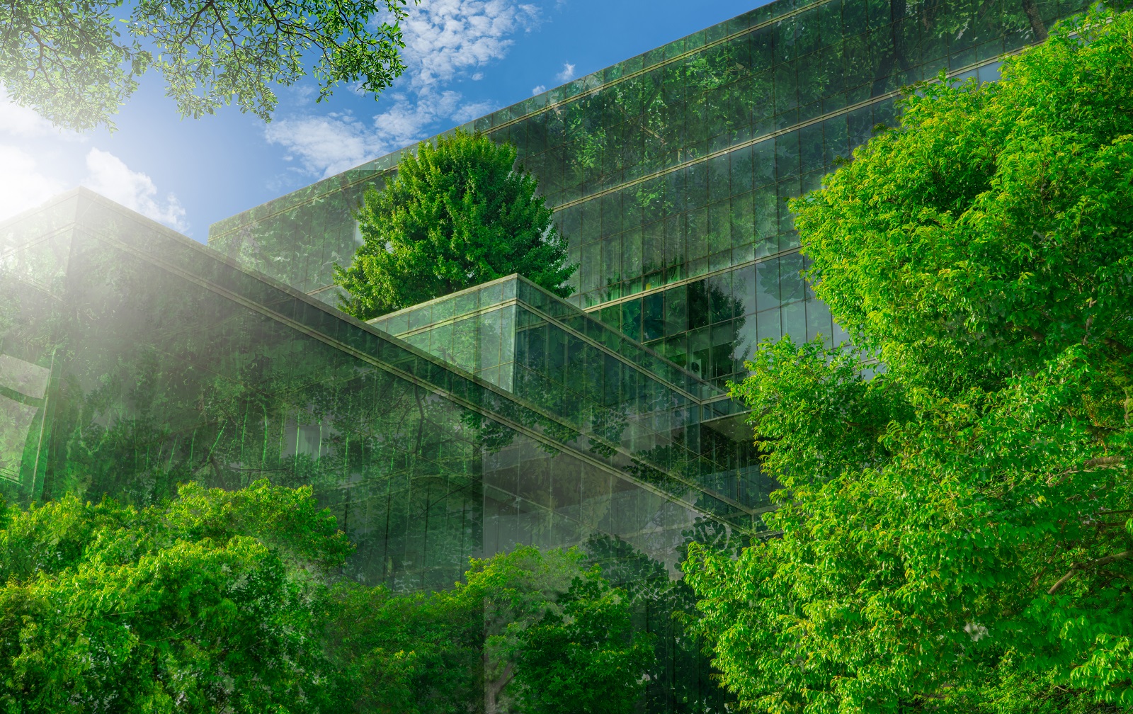 Green Building