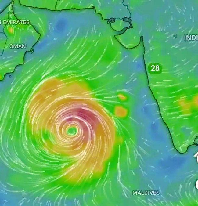 cyclone tej