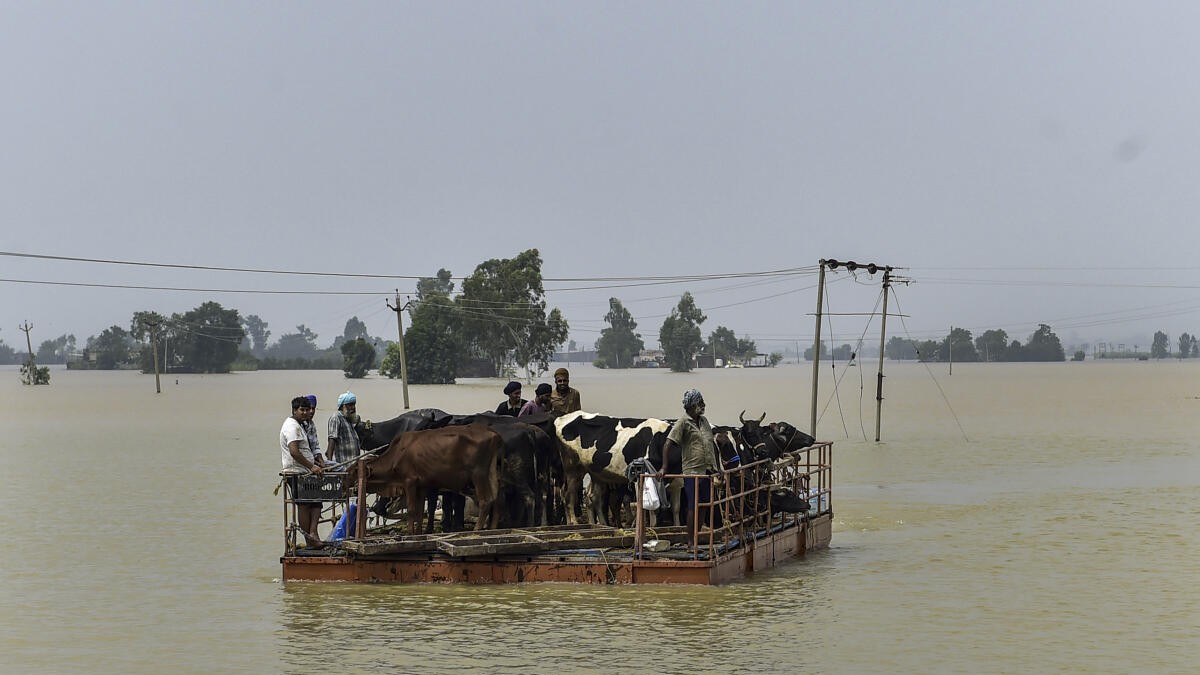 punjab floods 2025