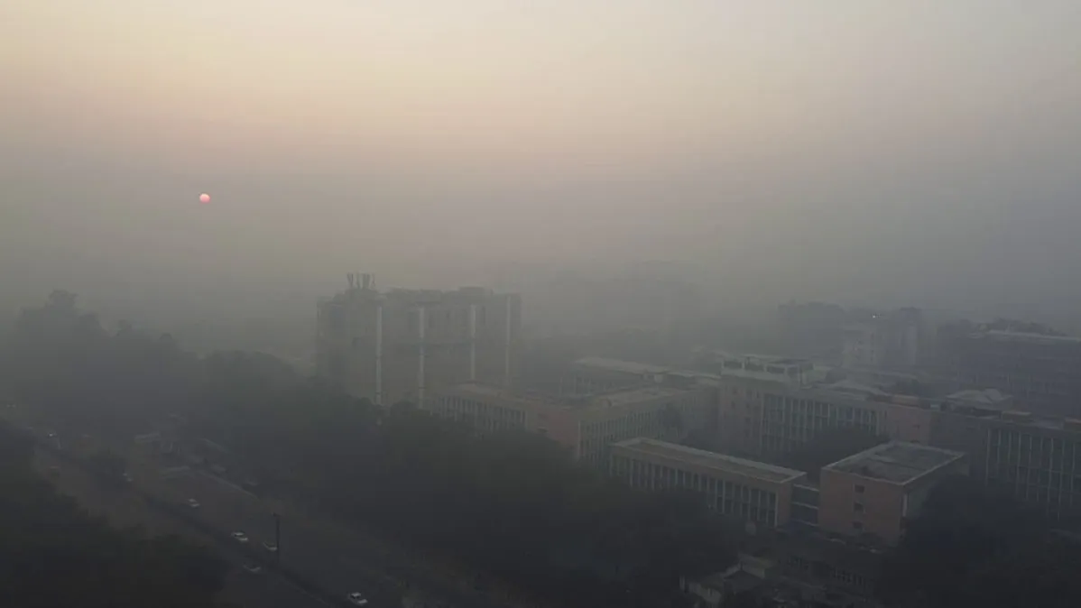 Delhi Dense Fog Engulfs Delhi, Mercury Drops As Cold Wave Tightens Grip, Alert Issued