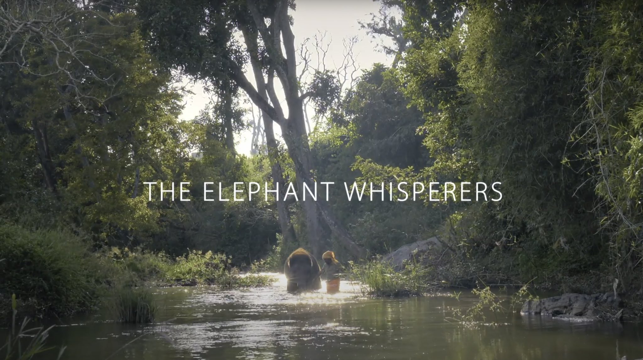 The Elephant Whisperers