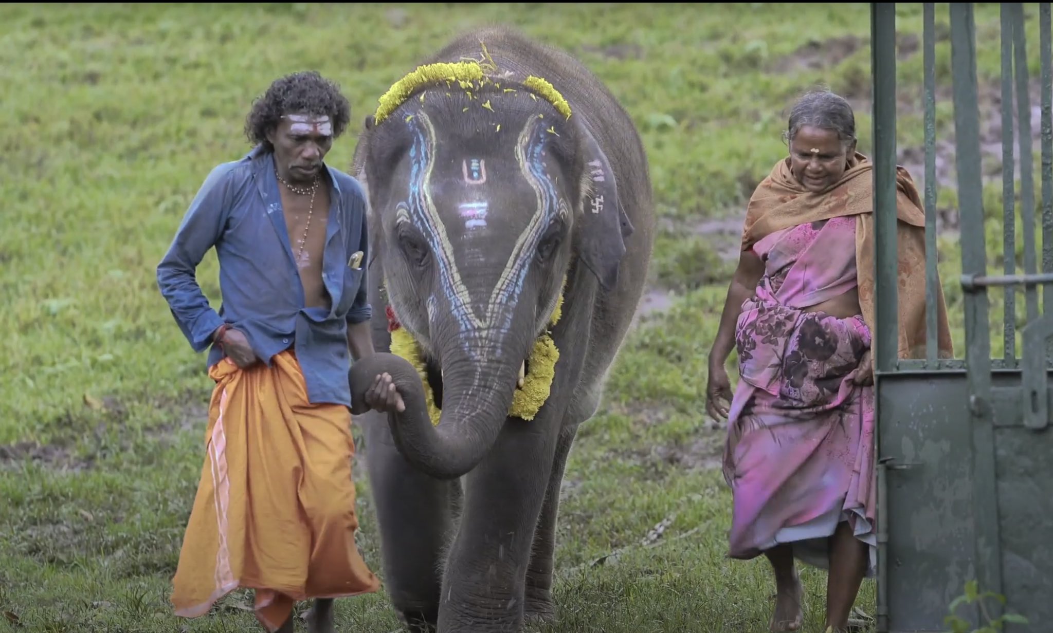 The Elephant Whisperers