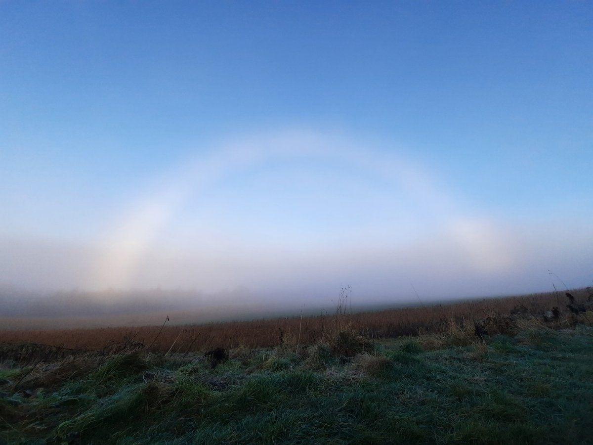 Fogbow spotted in Florida