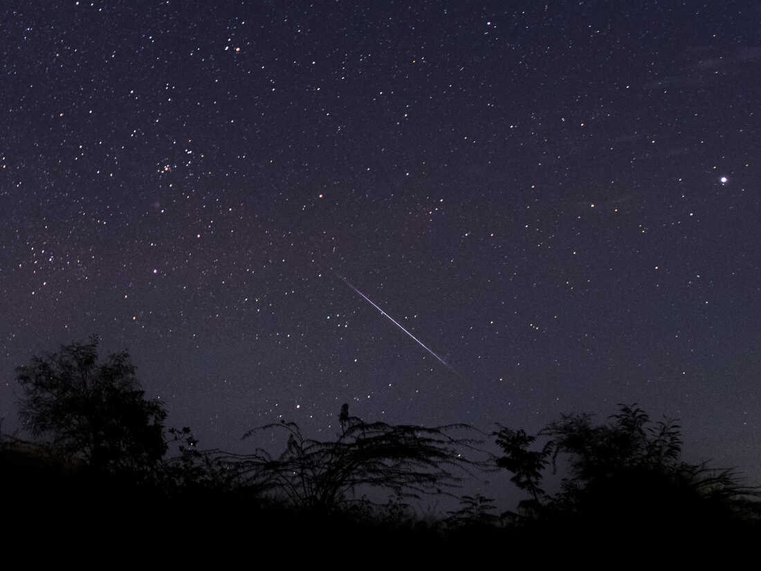 Geminid Meteor rain dazzles India's Dark Sky Reserve