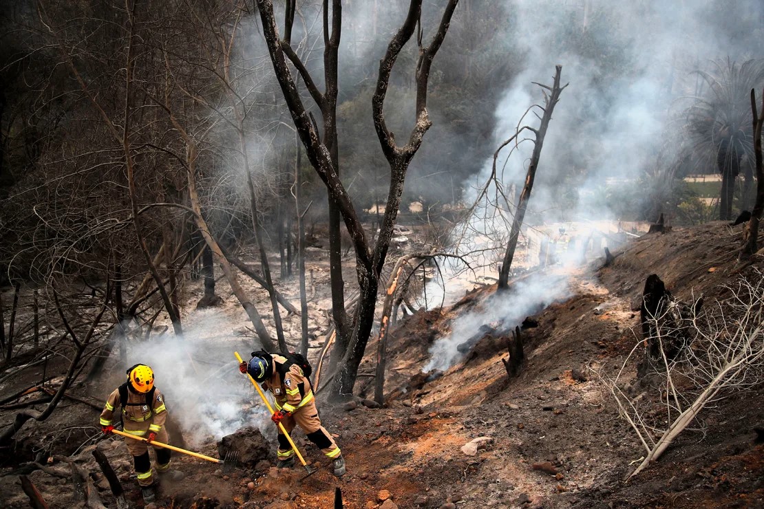 photo: Firefighters at the Botanical Garden in Viña del Mar