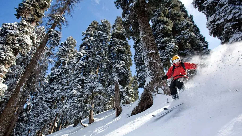 Skiing in Gulmarg, Kashmir