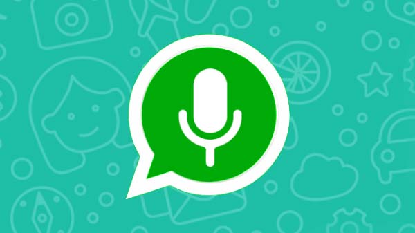 whatapp voice notes