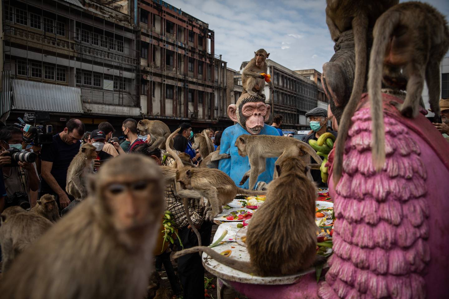 The Lopburi Monkey Festival Thailand, theme "monkeys feeding monkeys"(Lauren DeCicca/Getty Images)