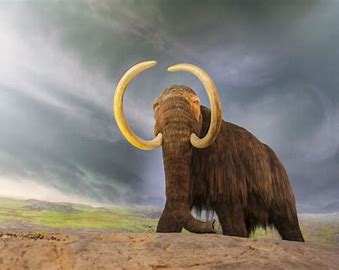 the biggest surprises was finding the DNA of mastodons