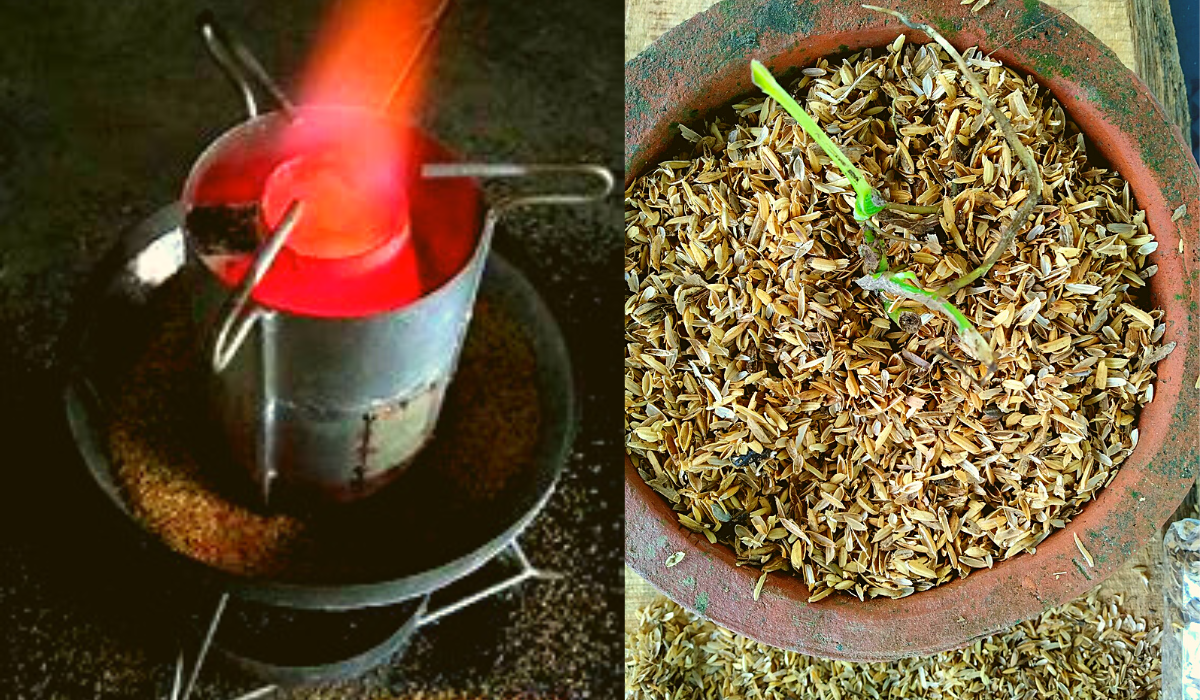 Rice husks as Fuel and Fertilizer