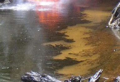 Oil spills can have particularly devastating effects on marine ecosystems