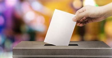 a voter casts their vote using an EVM