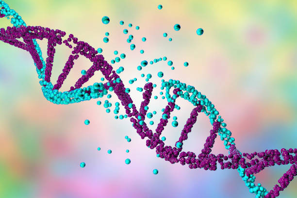 photo: DNA structure 