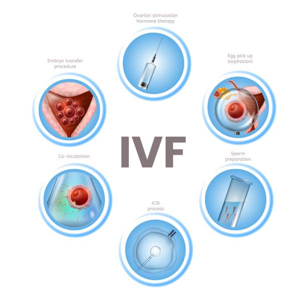 photo: IVF 