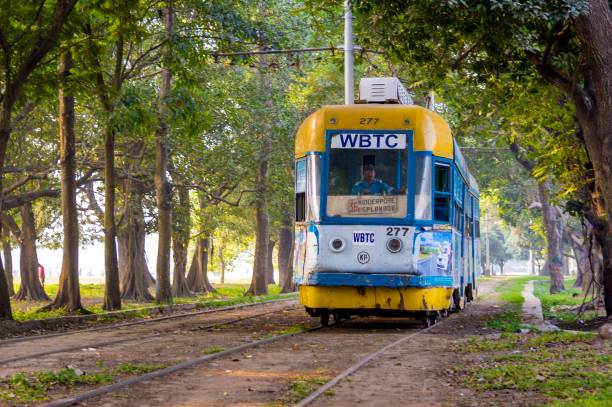 Kolkata's trams have declined from 52 routes in the 1970s to 25 in 2015. Now they run on just three routes