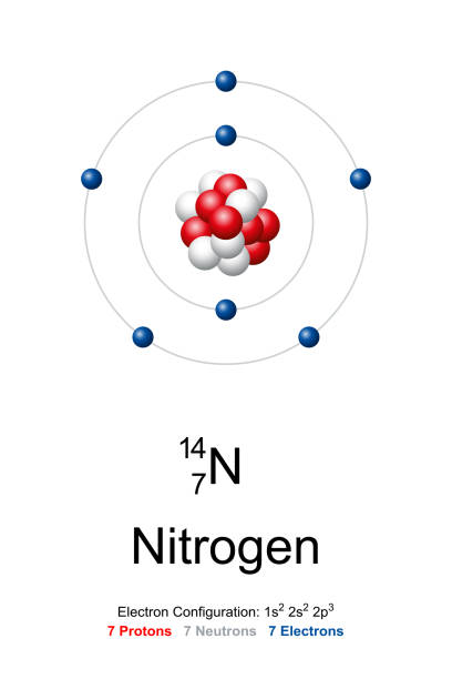 photo: Nitrogen 