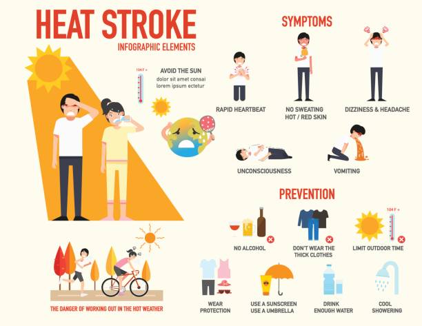 photo: heat stroke infographic