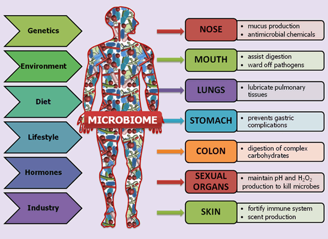 Types of Microbiome