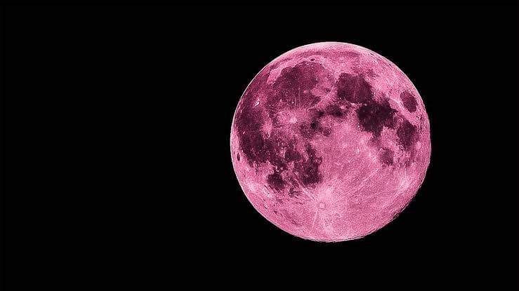 Pink Moon