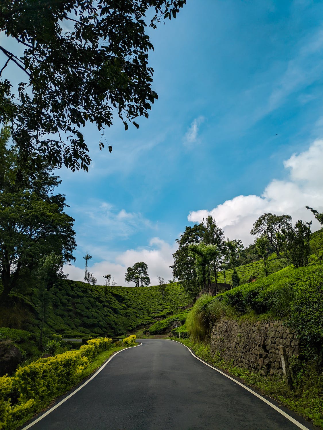 munnar