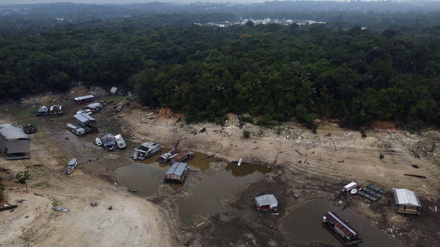 The Negro River, Amazon