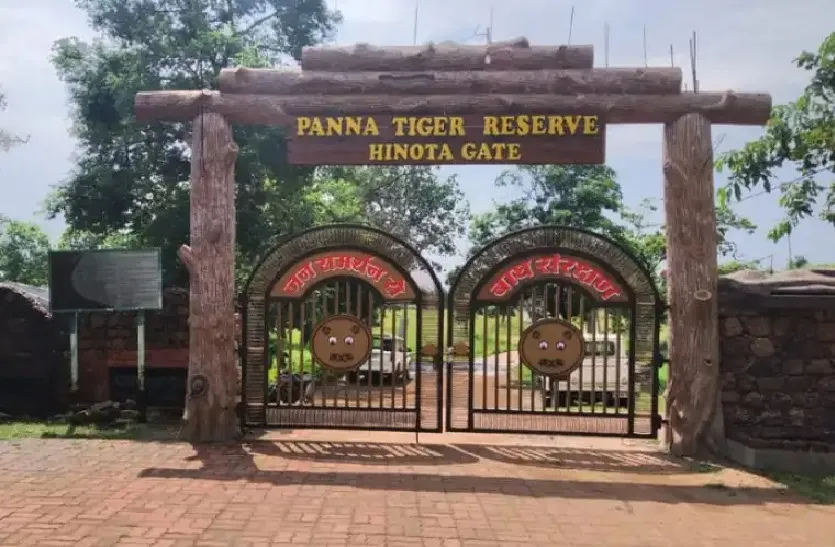 Panna Tiger Reserve, Madhya Pradesh,