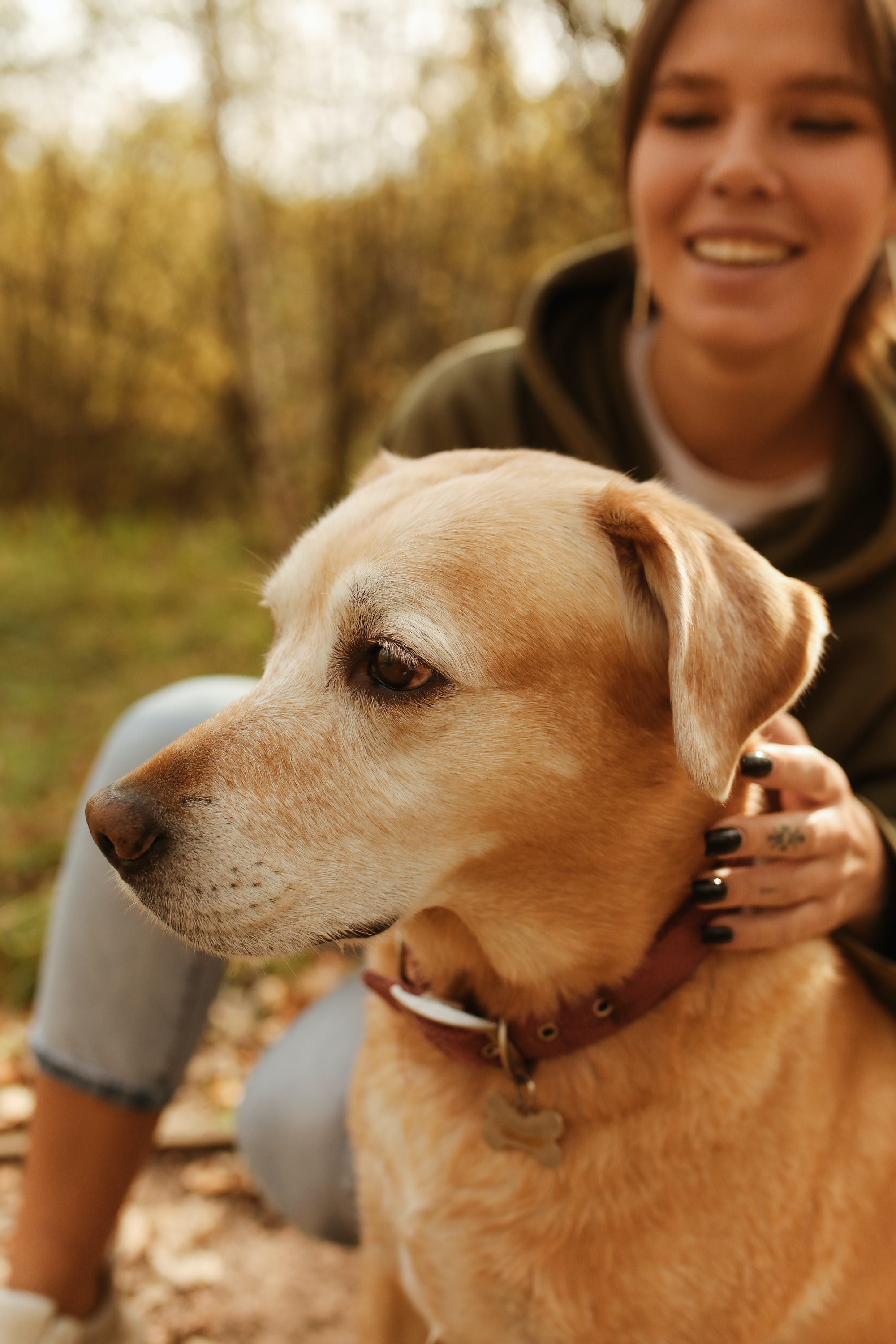 Becoming a Pet parent benefits