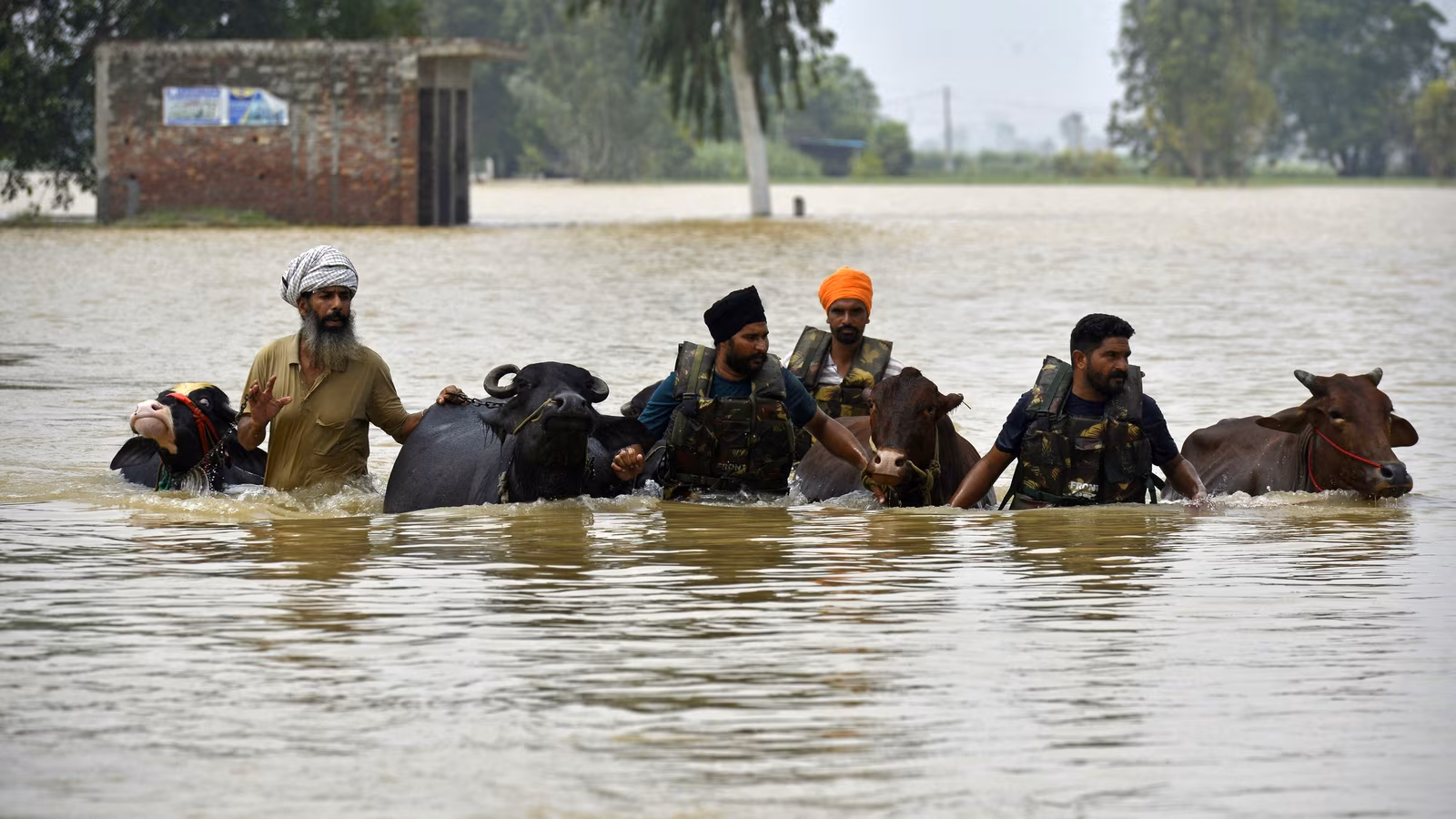 punjab floods 2025