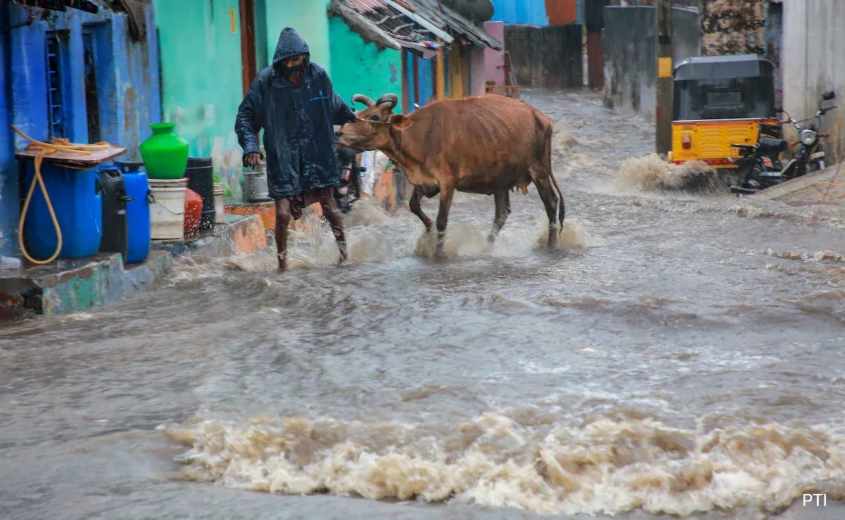 tamil nadu rainfall updates