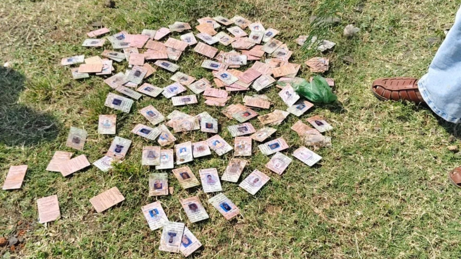 343 Voter ID Cards Found Along Narmada River in MP