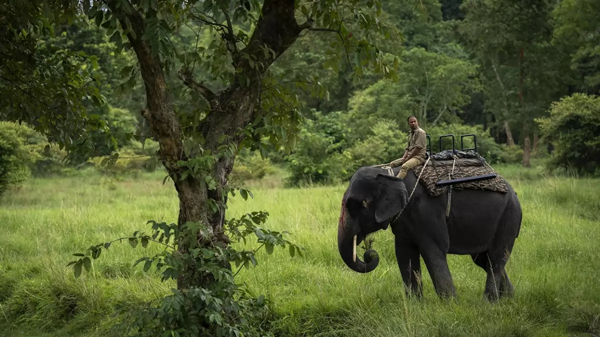  Kaimur Wildlife Sanctuary